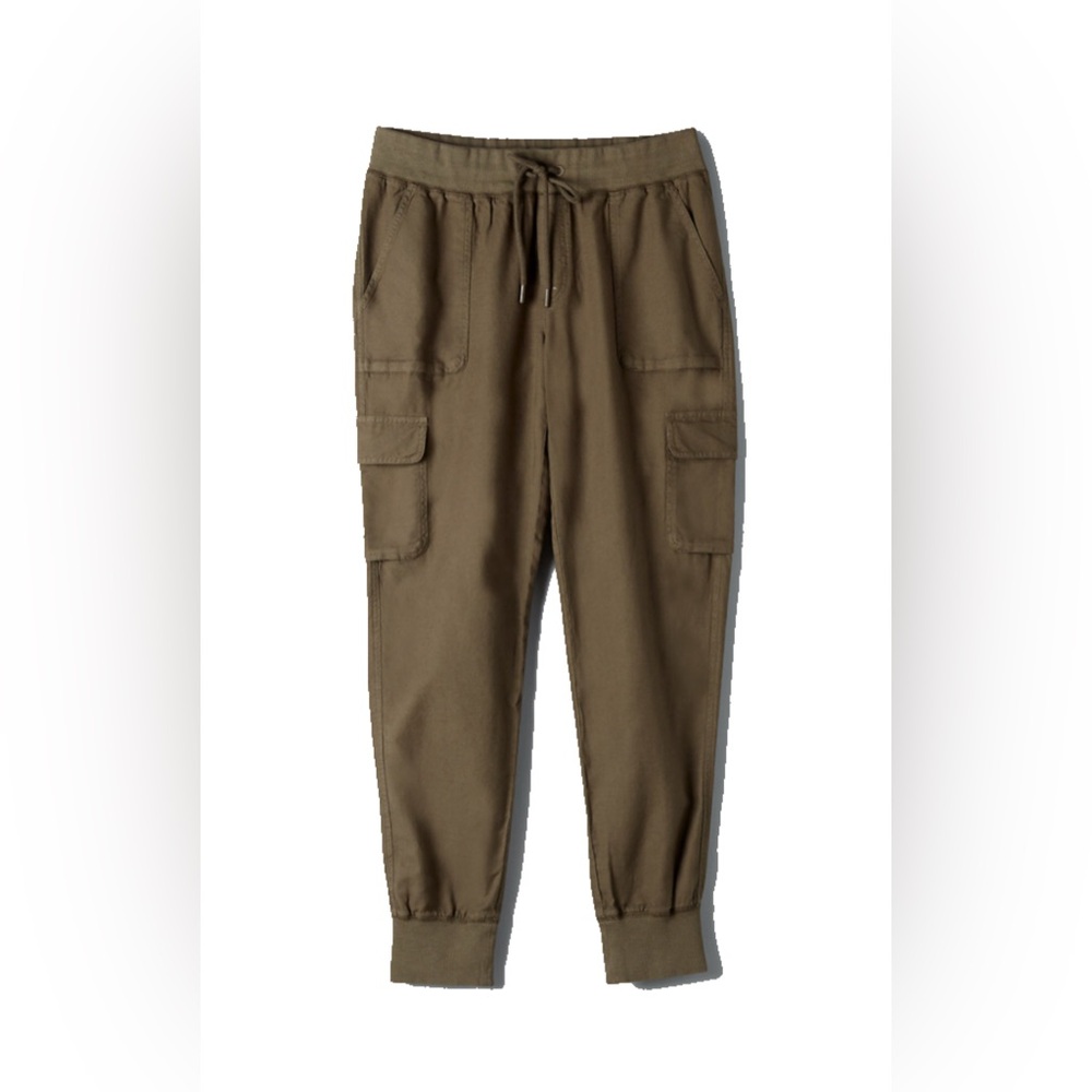 Aritzia community cotton cargo joggers